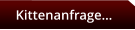 Kittenanfrage…